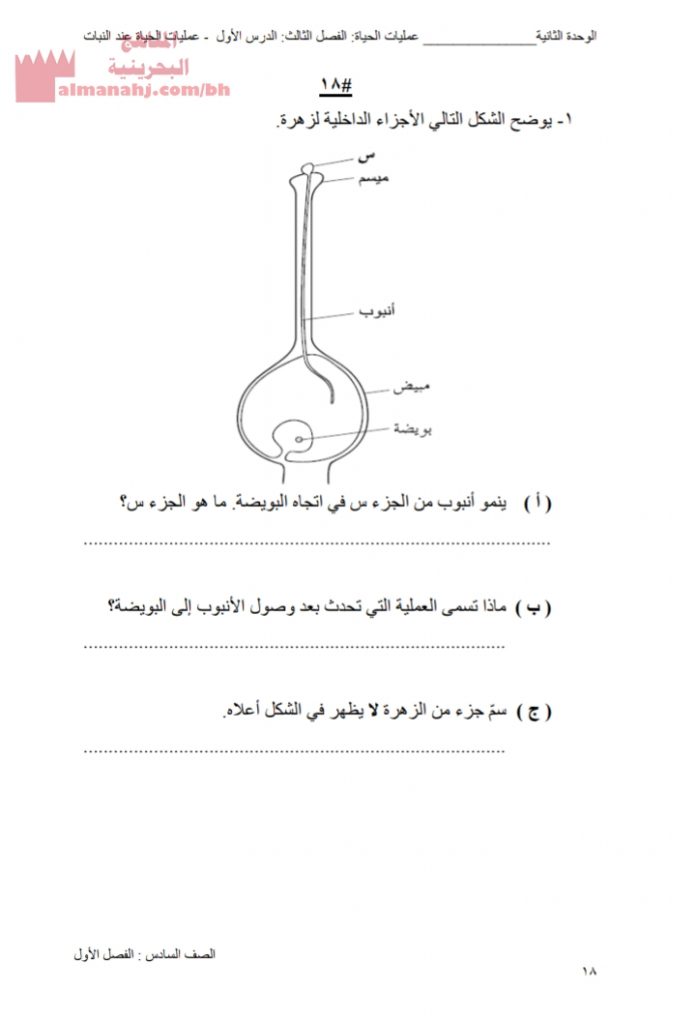 أسئلة مراجعة لدرس عمليات الحياة عند النباتات