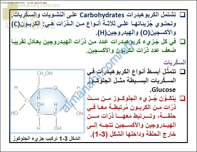 ملخص شرح درس الكربوهيدرات مع حل الأنشطة (أحياء) التاسع