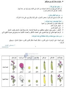 ملخص درس أساسيات علم الوراثة والاختلالات الوراثية المتنحية والسائدة, (علوم) الحادي عشر المتقدم
