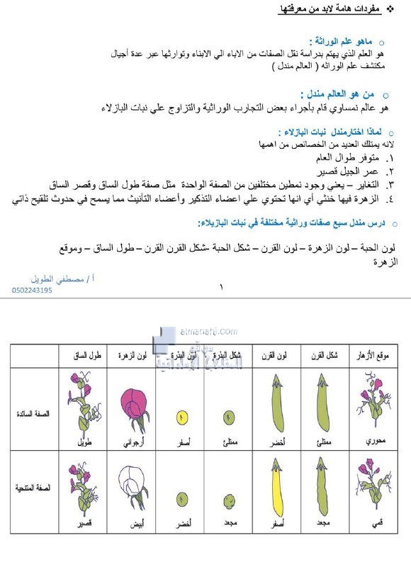 ملخص درس أساسيات علم الوراثة والاختلالات الوراثية المتنحية والسائدة, (علوم) الحادي عشر المتقدم