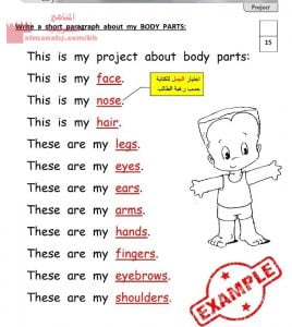 نشاط اللغة الإنجليزية الوحدة الثانية 33 (لغة انجليزية) الثاني