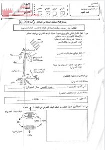 نشاطات لا صفية 11 و 12 (علوم) السادس