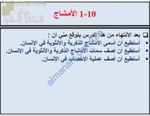 ملخص شرح درس الأمشاج مع حل الأنشطة (علوم) الثامن