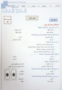 دليل تصحيح الاختبار الرسمي لنهاية الفصل, (علوم) الخامس