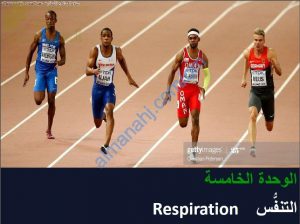 ملخص شرح درس التنفس مع حل الأنشطة (أحياء) التاسع