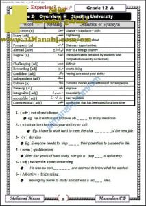 مذكرة شرح ومفردات وتدريبات شاملة (THEME 2) (لغة انجليزية) الثاني عشر