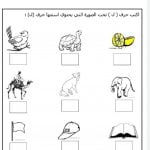 نشاط تقويمي لحرف اللام (لغة عربية) الأول