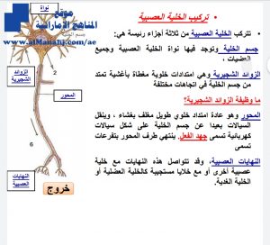 الجهاز العصبي تركيب الخلية العصبية, (علوم) العاشر العام