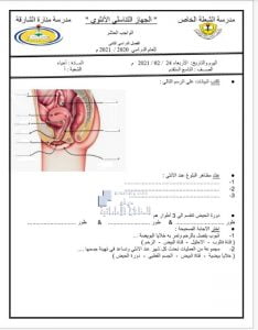 ورقة عمل الجهاز التناسلي الأنثوي, (علوم) التاسع المتقدم