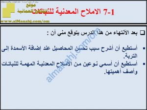 ملخص شرح درس نقل الأملاح المعدنية للنباتات مع حل الأنشطة (علوم) الثامن