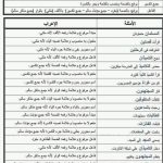 ملخص نحو ممتاز كامل للفصل الأول بخط اليد