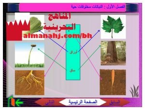 أسئلة وأجوبة شاملة