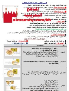 ملخص درس انقسام الخلية وتكاثرها (علوم) التاسع