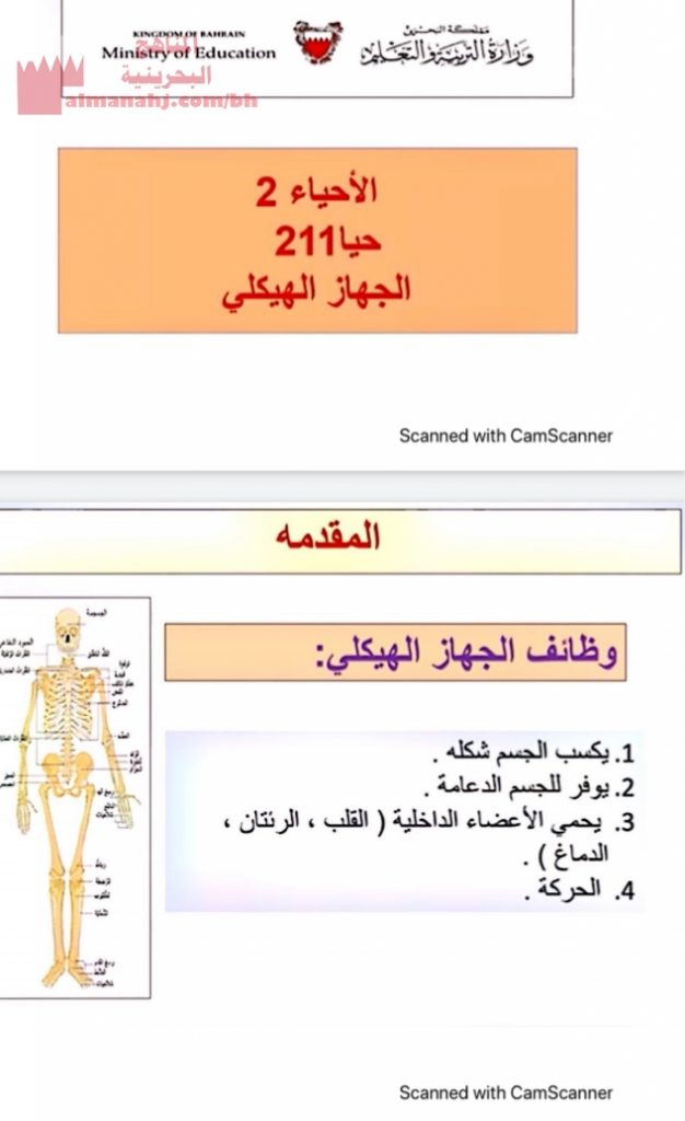الجهاز الهيكلي مقرر حيا 211