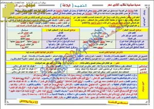ملخص مختصر في البلاغة (المفيد) (لغة عربية) الثاني عشر