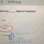 حل أسئلة اختبار لغة انجليزية GENERAL نهاية الفصل الدراسي الثالث, (لغة انجليزية) الخامس