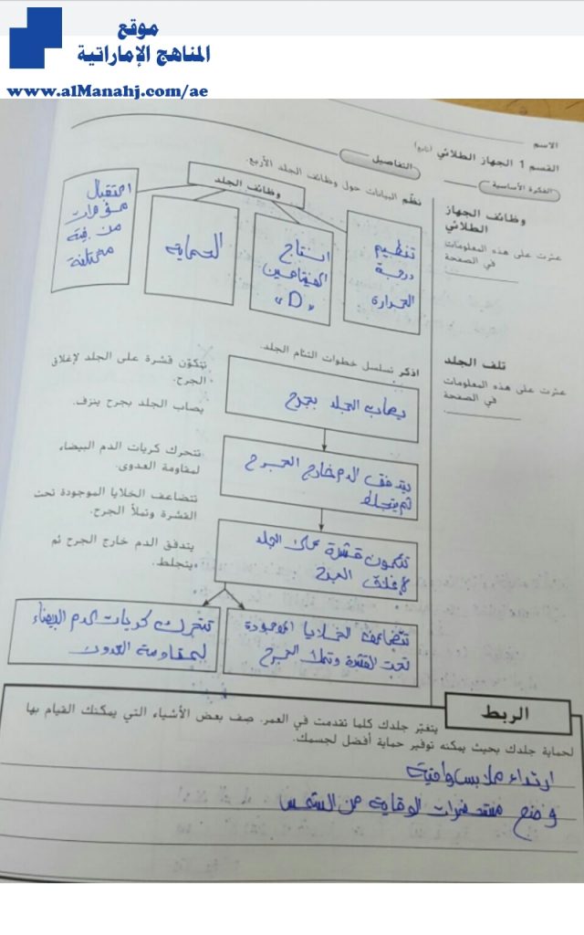 حل كتاب النشاط الوحدة الرابعة” الجهاز الطلائي والهيكلي والعضلي (علوم) الثاني عشر العام