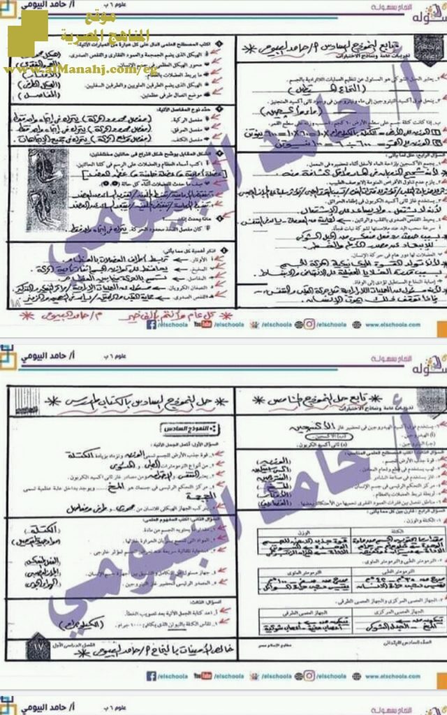 تدريبات كتاب المدرسة للفصل الأول