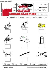 نشاط تدريبي 3 (لغة عربية) الأول