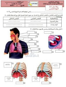 ورقة عمل الجهاز التنفسي تتبعها الإجابات, (علوم) التاسع المتقدم