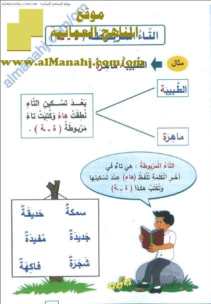 كراسة شرح التاء المربوطة والتاء المفتوحة (لغة عربية) الرابع