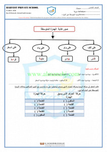 الهمزة المتوسطة (لغة عربية) الخامس