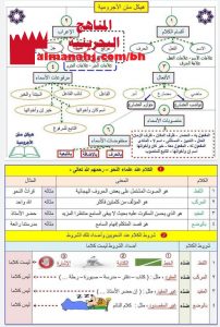 النحو كامل بالجداول والخرائط الذهنية