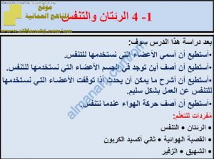 ملخص شرح درس الرئتان والتنفس مع حل الأنشطة (علوم) السادس