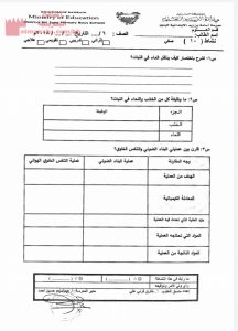 أنشطة صفية من 10 إلى 16