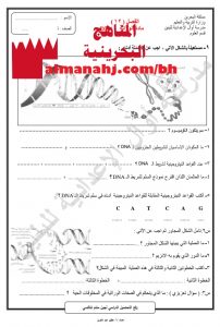 ورقة عمل في مادة الوراثة DNA (علوم) التاسع