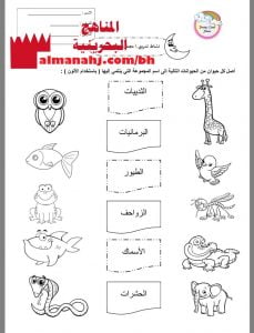 نشاط تدريبي (مجموعات الحيوانات) (علوم) الثاني