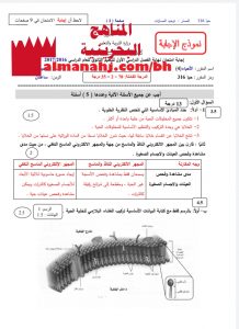 إجابة نموذجية للأحياء 4