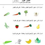 أسئلة مراجعة 1