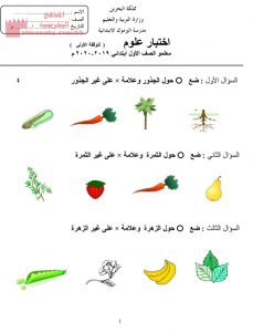 أسئلة مراجعة 1