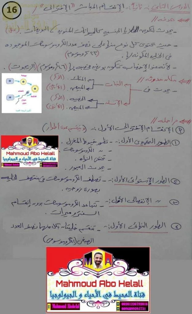 ملخص شرح درس الانقسام المباشر (الاختزالي) (علوم وبيئة) الثاني عشر