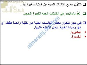 ملخص شرح درس الخلايا مع حل الأنشطة (أحياء) التاسع