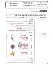 حل دليل الأنشطة الوحدة السابعة (ما الحيوانات), (علوم) السابع