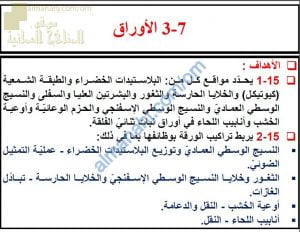 ملخص شرح درس الأوراق مع حل الأنشطة (أحياء) التاسع