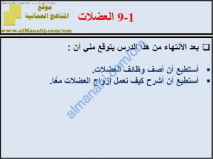 ملخص شرح درس العضلات مع حل الأنشطة (علوم) السابع