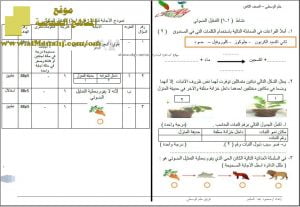 اختبار قصير نموذج 26 (منهج كامبردج) – نشاط (1-1) (علوم) الثامن