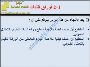 ملخص شرح درس أوراق النبات مع حل الأنشطة (علوم) الثامن