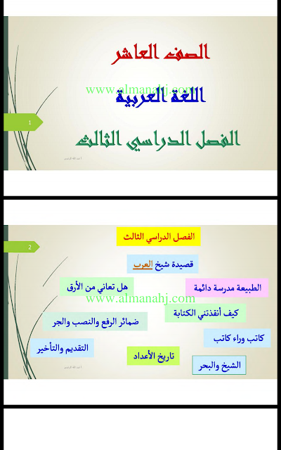 الصف العاشر دليل المعلم, (لغة عربية) العاشر