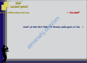 ملخص شرح درس العضلات (أحياء) العاشر