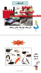 ملخص لدرس الحيوانات (علوم) الثاني