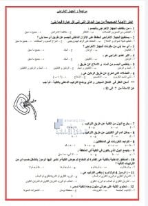 أوراق عمل مراجعة الجهاز الإخراجي تتبعها الإجابات, (علوم) التاسع المتقدم