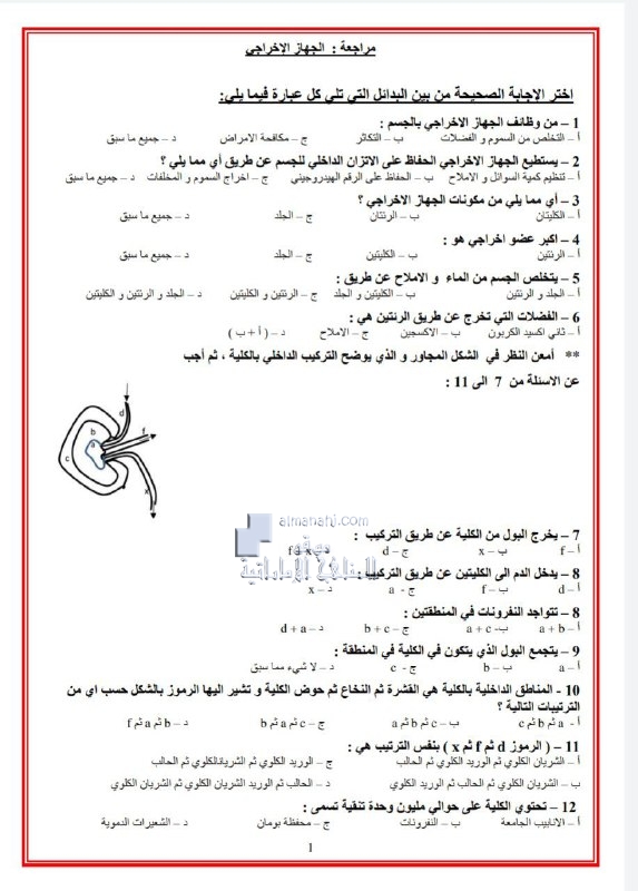 أوراق عمل مراجعة الجهاز الإخراجي تتبعها الإجابات, (علوم) التاسع المتقدم