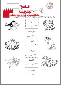 نشاط تدريبي (مجموعات الحيوانات) 1 (علوم) الثاني