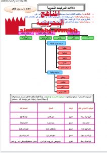 دلالات المركبات النحوية