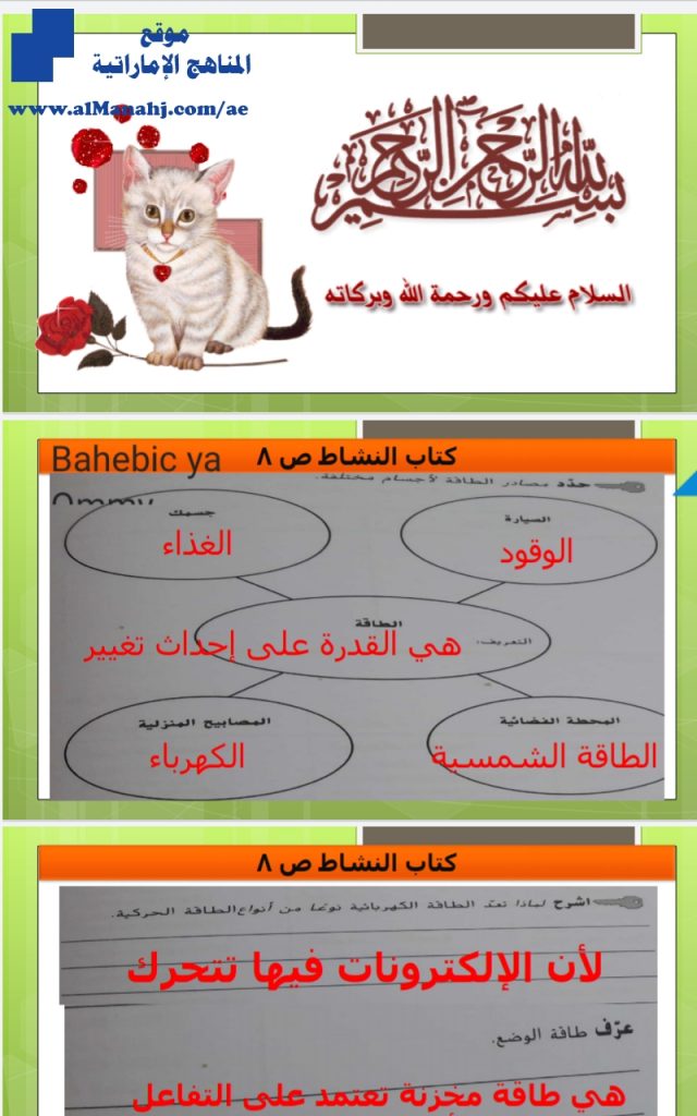 حل كتاب االنشاط الوحدة الثالثة من صفحة 8 إلى صفحة 15, (علوم) الخامس