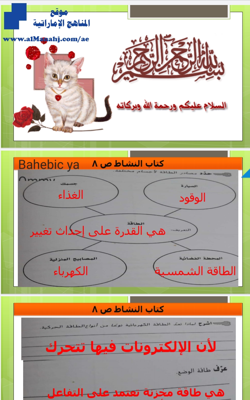 حل كتاب االنشاط الوحدة الثالثة من صفحة 8 إلى صفحة 15, (علوم) الخامس